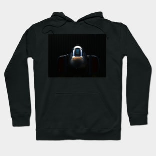 RAF F-4 Phantom in the shadows Hoodie